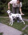 Mazsi